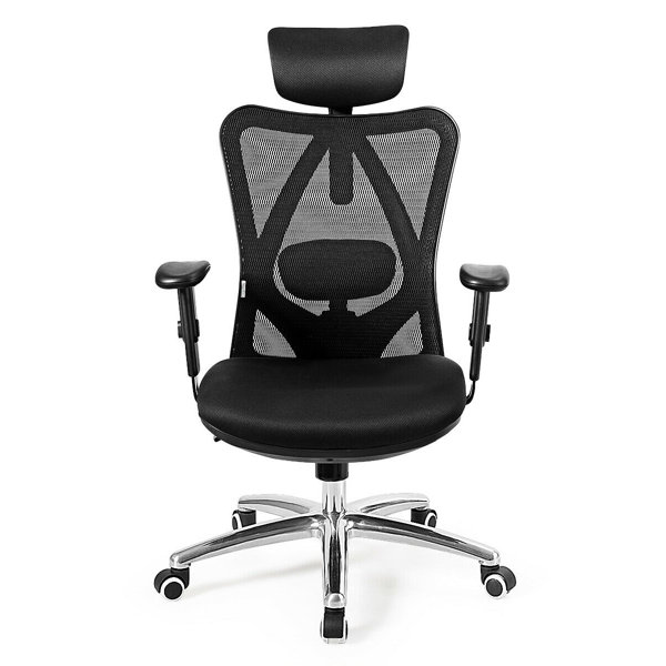 Ebern Designs High Back Mesh Office Chair Adjustable Lumbar Support
